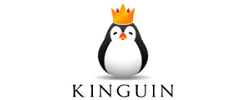 Kinguin.net